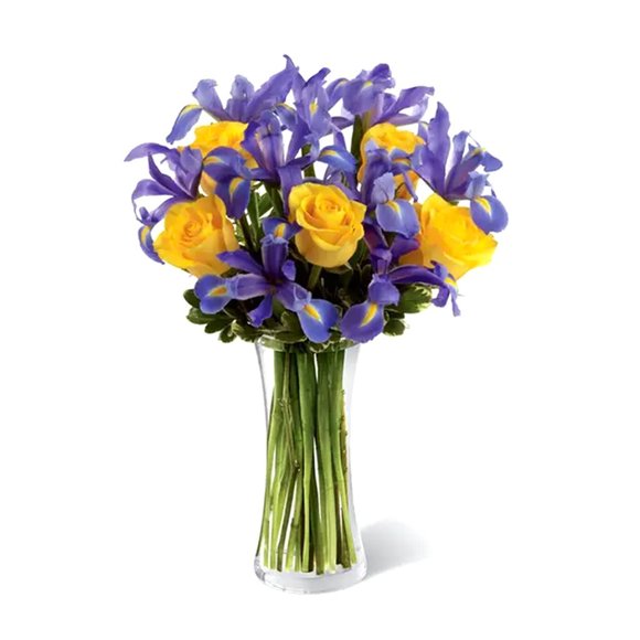 In Tribute to Iris - Picture 7 of 7